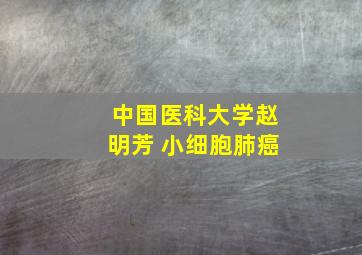 中国医科大学赵明芳 小细胞肺癌